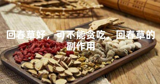 回春草好，可不能贪吃，回春草的副作用