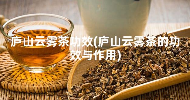 庐山云雾茶功效(庐山云雾茶的功效与作用)