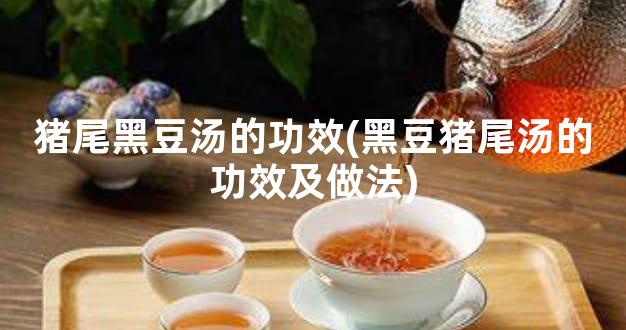 猪尾黑豆汤的功效(黑豆猪尾汤的功效及做法)