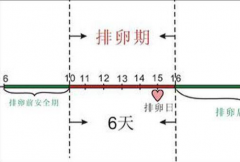 月经后几天是排卵期，今天告诉你排卵期应该怎么算