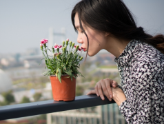 婚姻极不顺的面相女 看看你是否有这些面相问题