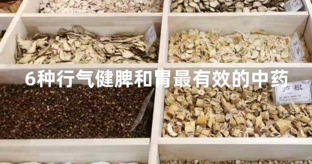 6种行气健脾和胃最有效的中药