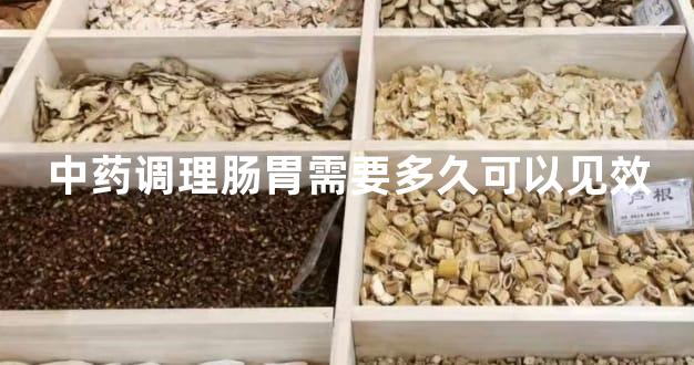 中药调理肠胃需要多久可以见效