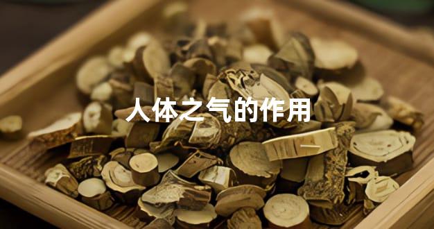 人体之气的作用