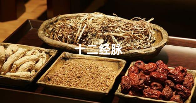 十二经脉