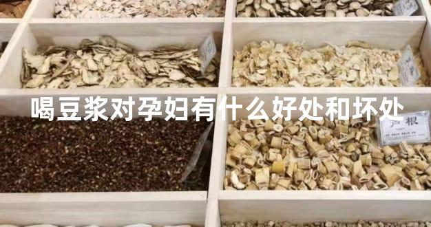 喝豆浆对孕妇有什么好处和坏处