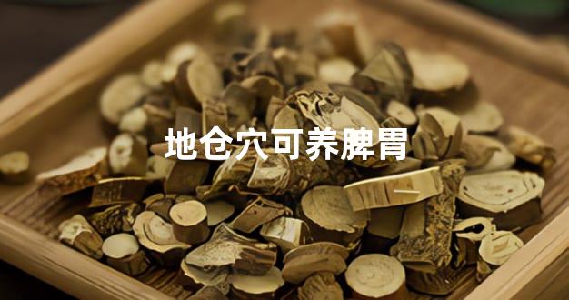 地仓穴可养脾胃