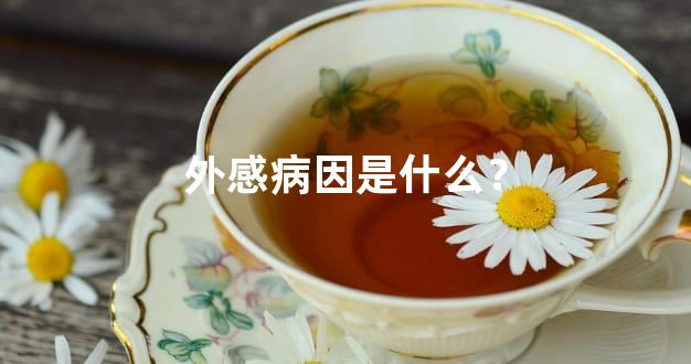 外感病因是什么？