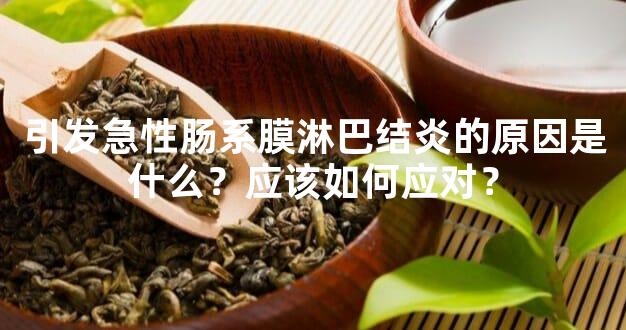 引发急性肠系膜淋巴结炎的原因是什么？应该如