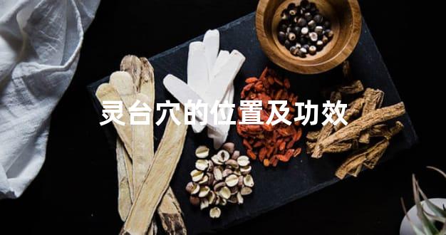 灵台穴的位置及功效