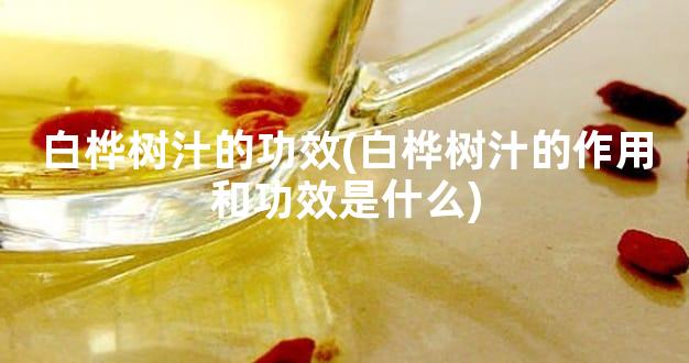 白桦树汁的功效(白桦树汁的作用和功效是什么)