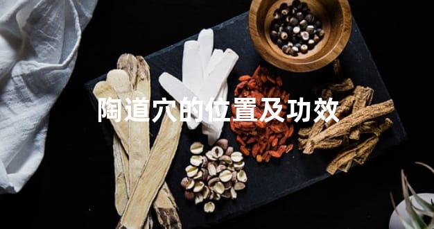 陶道穴的位置及功效
