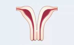 <b>双子宫会对身体造成的伤害和影响，主要有这几个方面</b>