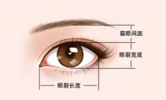 眦是什么意思，探究眼部解剖结构